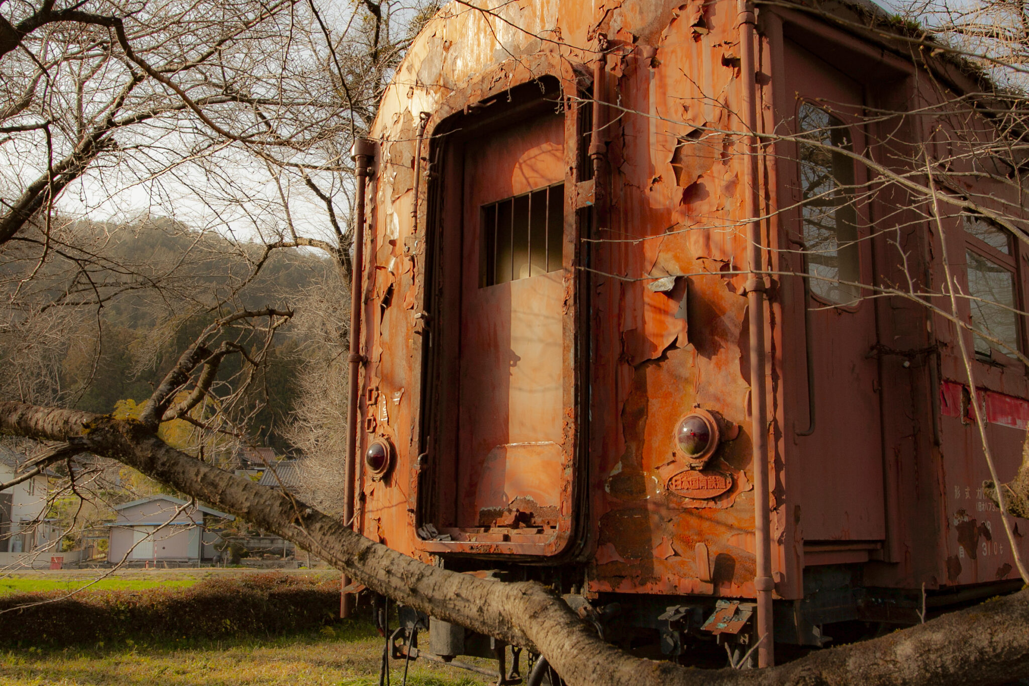 【岐阜廃電車】朽ち方があまりにかっこよすぎる 戦後間もない約70年前に製造、33年前から展示保存のまま放置されている廃電車(展示車両