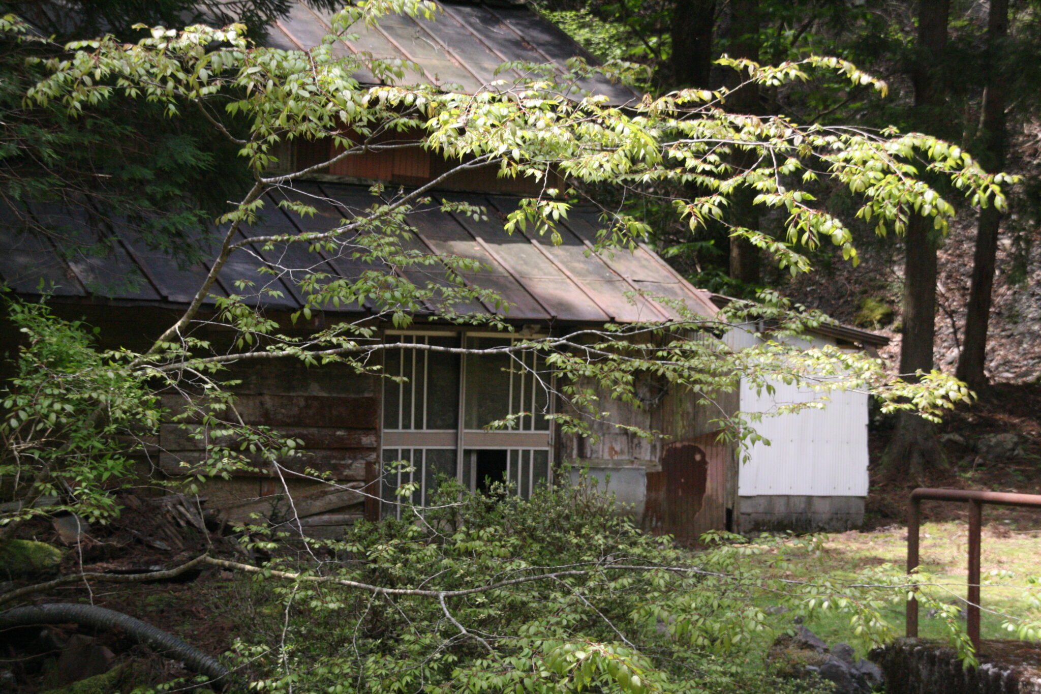 【岐阜廃村】約830年前から存在する谷山廃村集落へ行ってみたら、凄くのどかで素晴らしい場所であり、春の日差しを感じながら、のんびりとお茶して ...