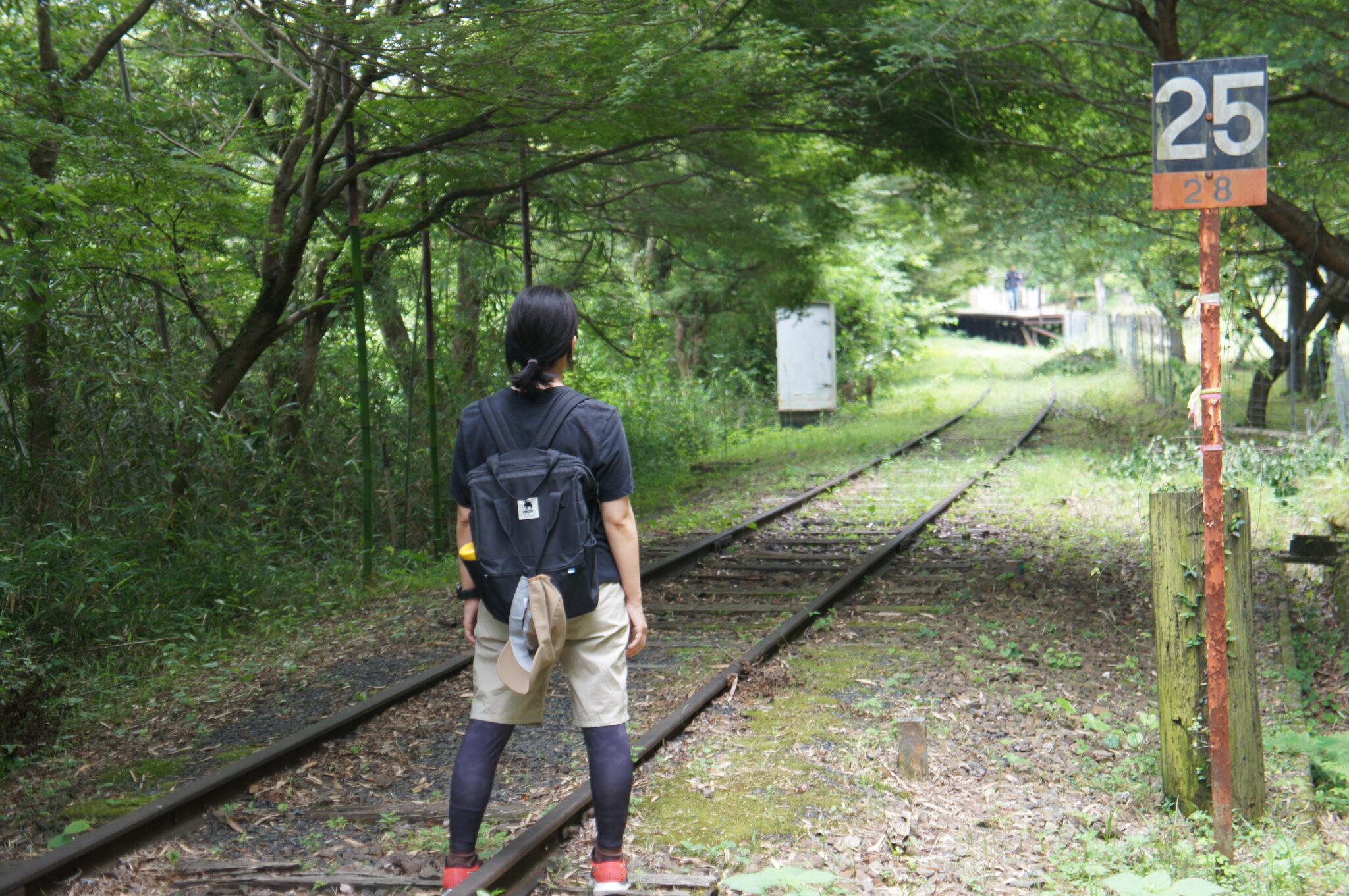 【愛知廃墟】 名鉄三河線 76年前 戦前に作られた廃トンネル見学や線路跡がウォーキング出来ると聞いて 名鉄三河線の“山線”廃線跡(三河広瀬駅跡